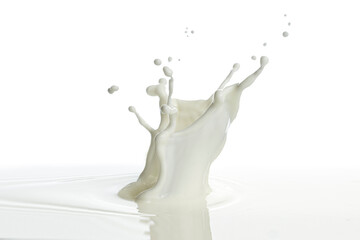 pouring of milk splash isolated white background