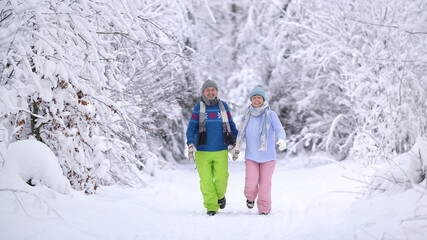 romantischer Winterwald Spaziergang