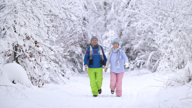 romantischer Winterwald Spaziergang
