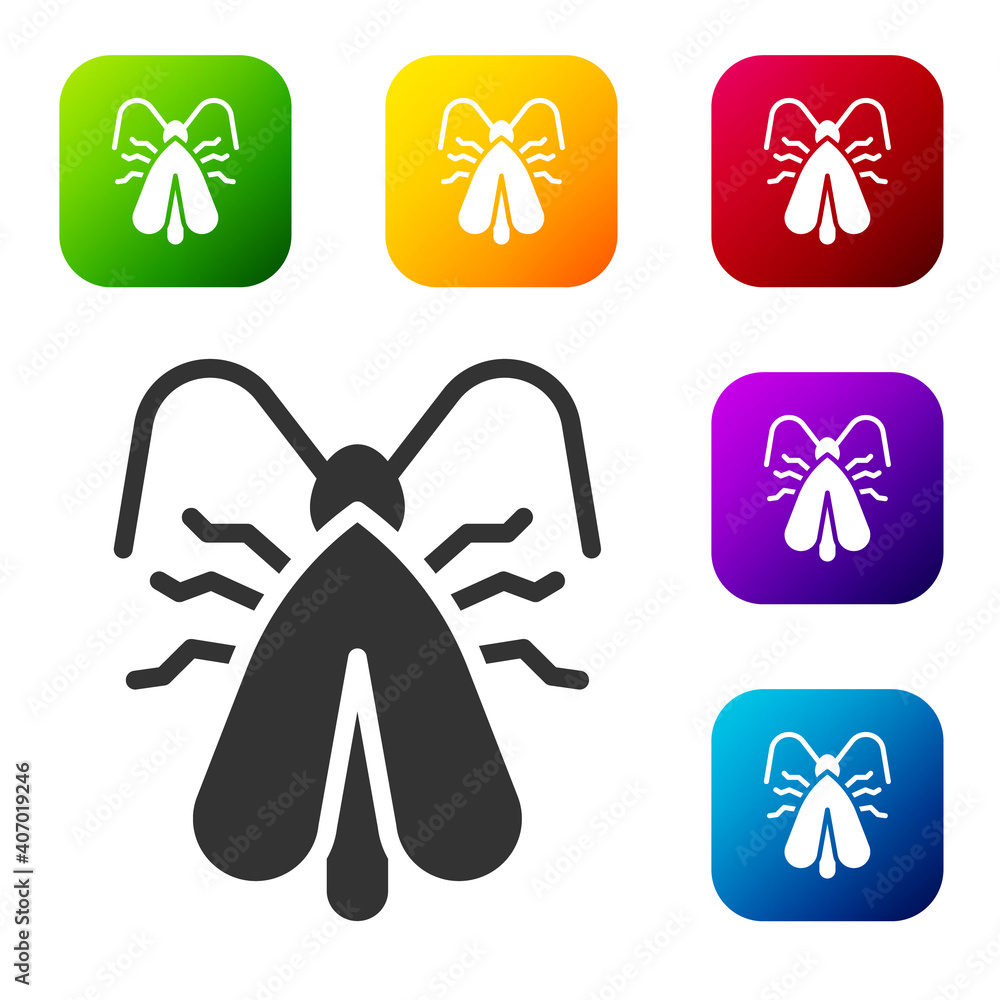 Poster black clothes moth icon isolated on white background. set icons in color square buttons. vector.