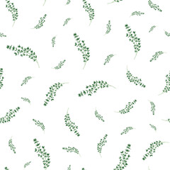 Seamless Pattern with Thyme Sprigs on White Background
