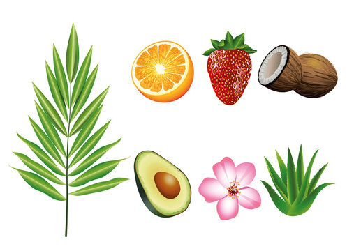 bundle of seven tropical fruits and plants set icons