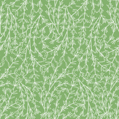 Seamless Pattern with Thyme Stems and Leaves on Green Background.