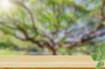 Empty wooden table background of free space for your with bright green tree abstract blurred summer background