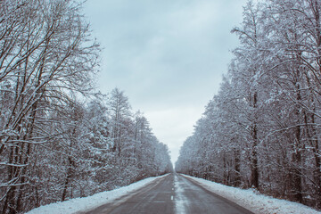 winter forest, winter road, forest in the snow, winter 2021