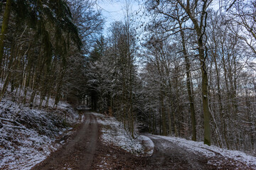 Schöner, verschneiter Wald im Kraichgau, Deutschland
