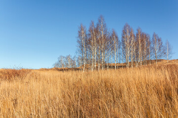 Bautiful landskape nature in winter
