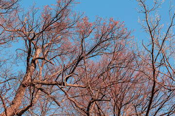 Obraz premium Bautiful landskape nature in winter