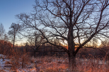 Bautiful landskape nature in winter