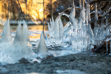 Close-up of icicles hanging from roots, branches and rocks that formed next to a stream.