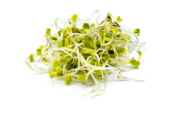 Radish sprouts isolated on white background