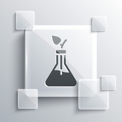 Grey Plant breeding icon isolated on grey background. Plants growing in the test tubes. Organic food ,agriculture and hydroponic. Square glass panels. Vector.