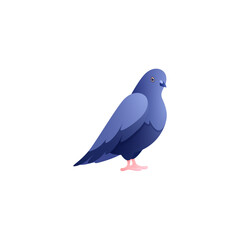 Pigeon Flat Illustration