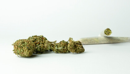 Macro closeup view of marijuana buds and cannabis joints isolated on white background with copy space.