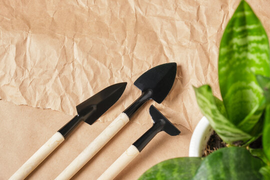 home flowers and floriculture tools abor shovel, rake, scoop, metal tool with wooden handle on kraft paper background