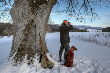 In winter a hunter with his Irish Setter hunting dog stands under a mighty old oak tree and watches...