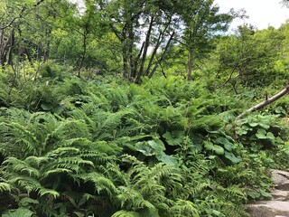Zdjęcia prezentujące widoki g&oacute;rskie.