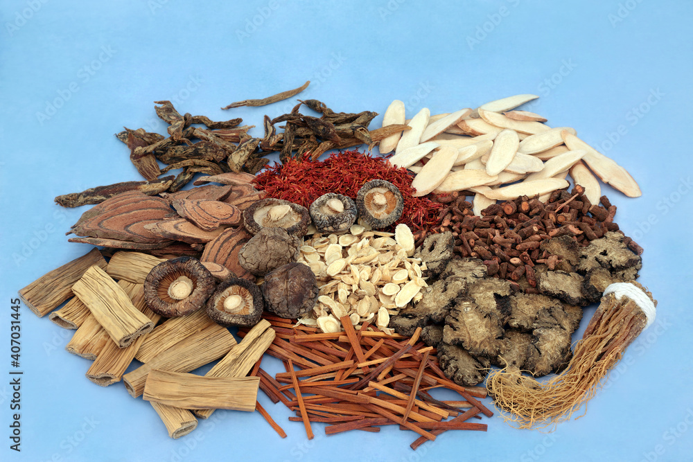 Canvas Prints chinese herbs & spice selection used in traditional herbal medicine on mottled blue background. natu