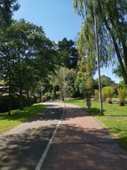 Cicloruta in Bogotá, Colombia. Special pathways exclusive for biking and running through the whole city. During COVID-19 pandemic these special infraestructure allow people to exersice freely and safe