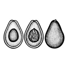 Avocado. Whole, half and slice avocados with seed vintage engraving style drawing isolated on white background. Avocados retro style dotted sketch drawn illustration. Part of set.