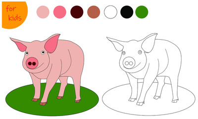 coloring book for kids, farm animal pig, coloring book by colors. Vector illustration isolated on white background