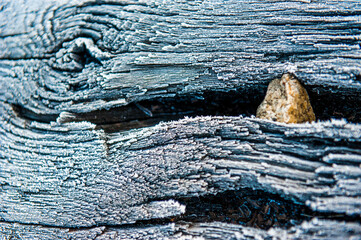 texture di legno spaccato dal gelo