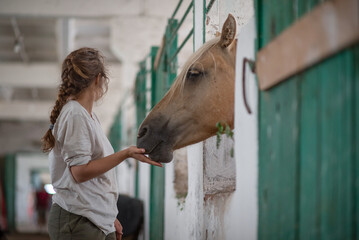 Young beautiful girl on the farm in the stable is engaged with a horse.