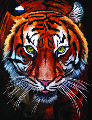 tiger face 