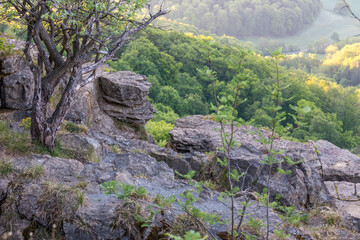 Hohenstein (Süntel) im Weserbergland, Landkreis Hameln-Pyrmont