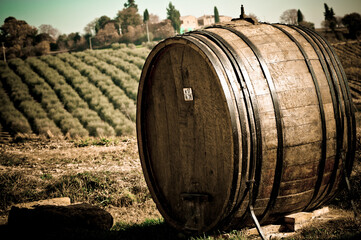 toscana botte di vino in mezzo alla campagna