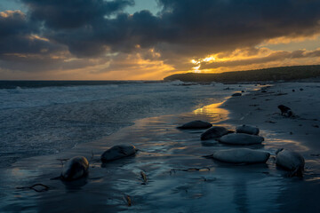 View from Sea Lion Island, Falkland Islands.
