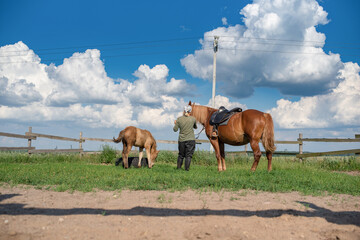 Young beautiful girl at the farm stable with a horse.
