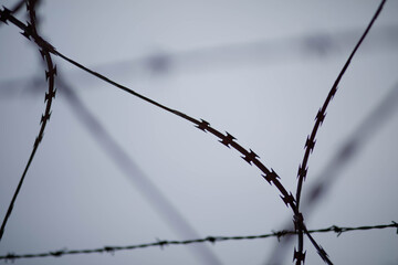 barbed wire fence - obrazy, fototapety, plakaty