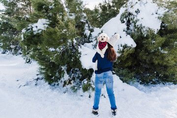beautiful woman in snowy mountain holding cute poodle dog on shoulder. Dog wearing plaid bandana. winter season. nature and pets