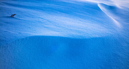 Zimowe Wzory na Śniegu  © Wojciech Lisiński