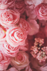 beautiful flowers on the wall