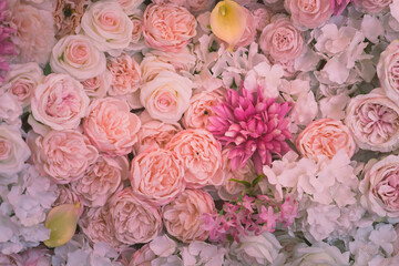 beautiful flowers on the wall