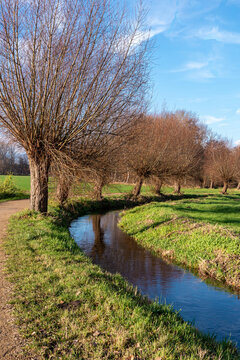 Bachlauf des Flusses Lutter in Marienfeld Kreis G&uuml;tersloh an einem Wintertag