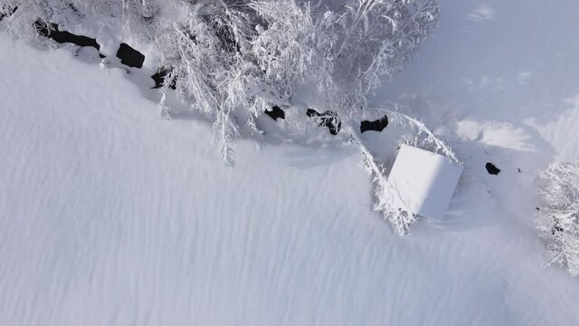 eine tief verschneite h&uuml;tte mit umgefallenem baum auf dem dach