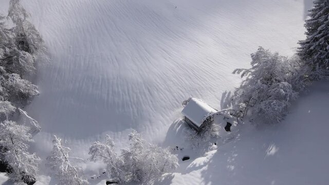 eine tief verschneite h&uuml;tte mit umgefallenem baum auf dem dach
