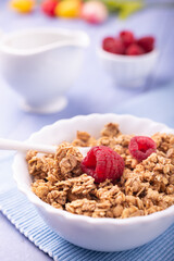 In the foreground a white bowl with crunchy wholemeal nuggets of barley and oats and some raspberries. On the bright background a milk jug, raspberries and floral arrangement