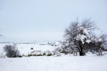 Paisaje nevado