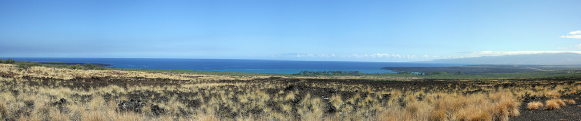 Hawaiian Coast Panorama