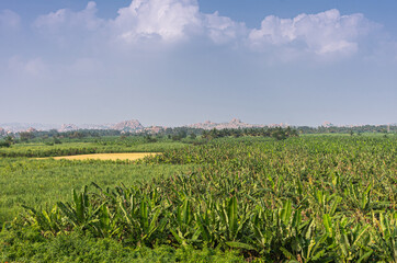 Fototapeta na wymiar Hampi, Karnataka, India - November 5, 2013: Rich green agricultural land at Kamalapura Lake, under blue cloudscape. Hills on horizon. Young banana plantation uip front. Yellow patch.