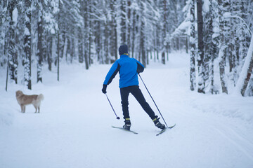 Cross country ski. Skiing in winter on the track.
