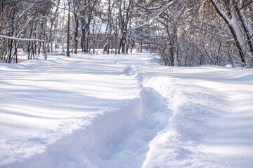 Snowdrifts path in the forest after massive snow storm