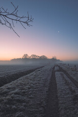 Misty frosty cold morning in the Dutch fields