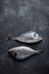 Fresh bream fish on dark background. Copy space, top view