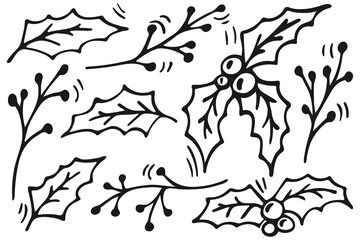 Hand-drawn Christmas leaves and branches isolated on white background. Image