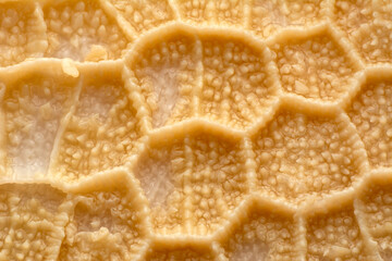 Close up cooked tripe on a white background

